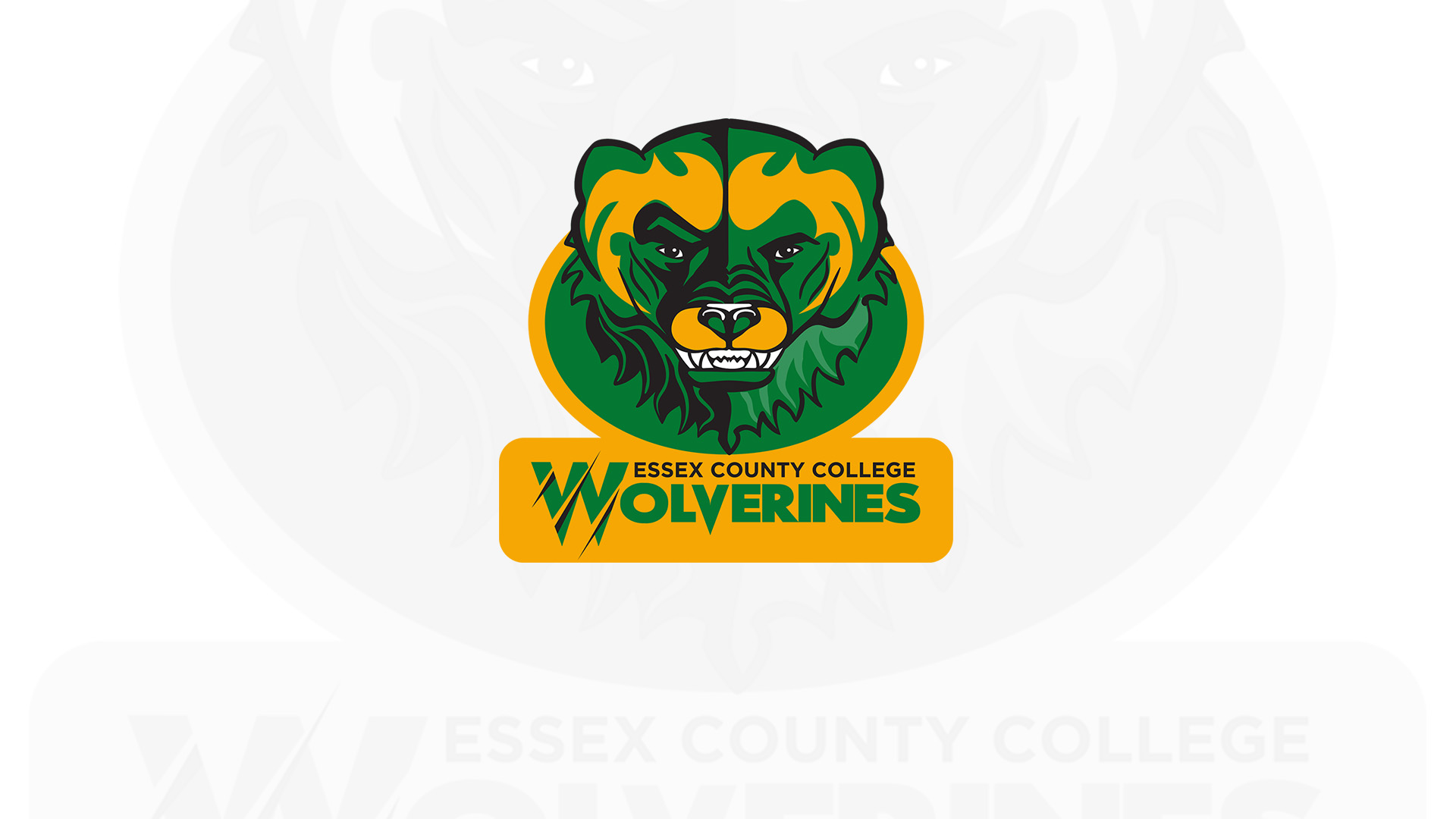 Wolverines Cross Country Sets Personal Bests in METS Championships
