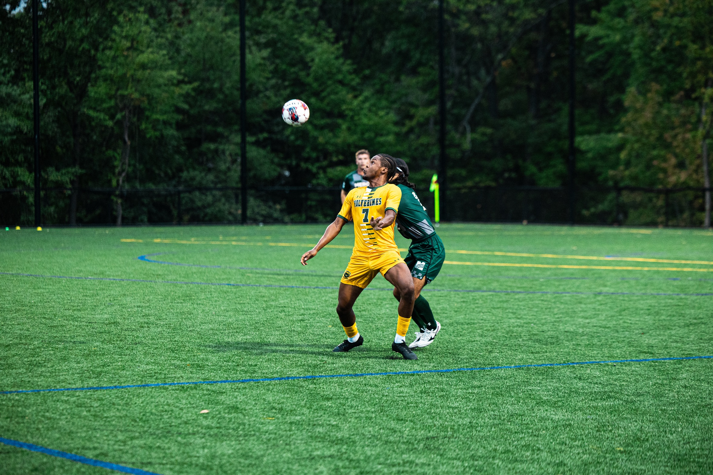 Wolverines Fall Just Short in 1&ndash;0 Battle Against No. 2 Mercer