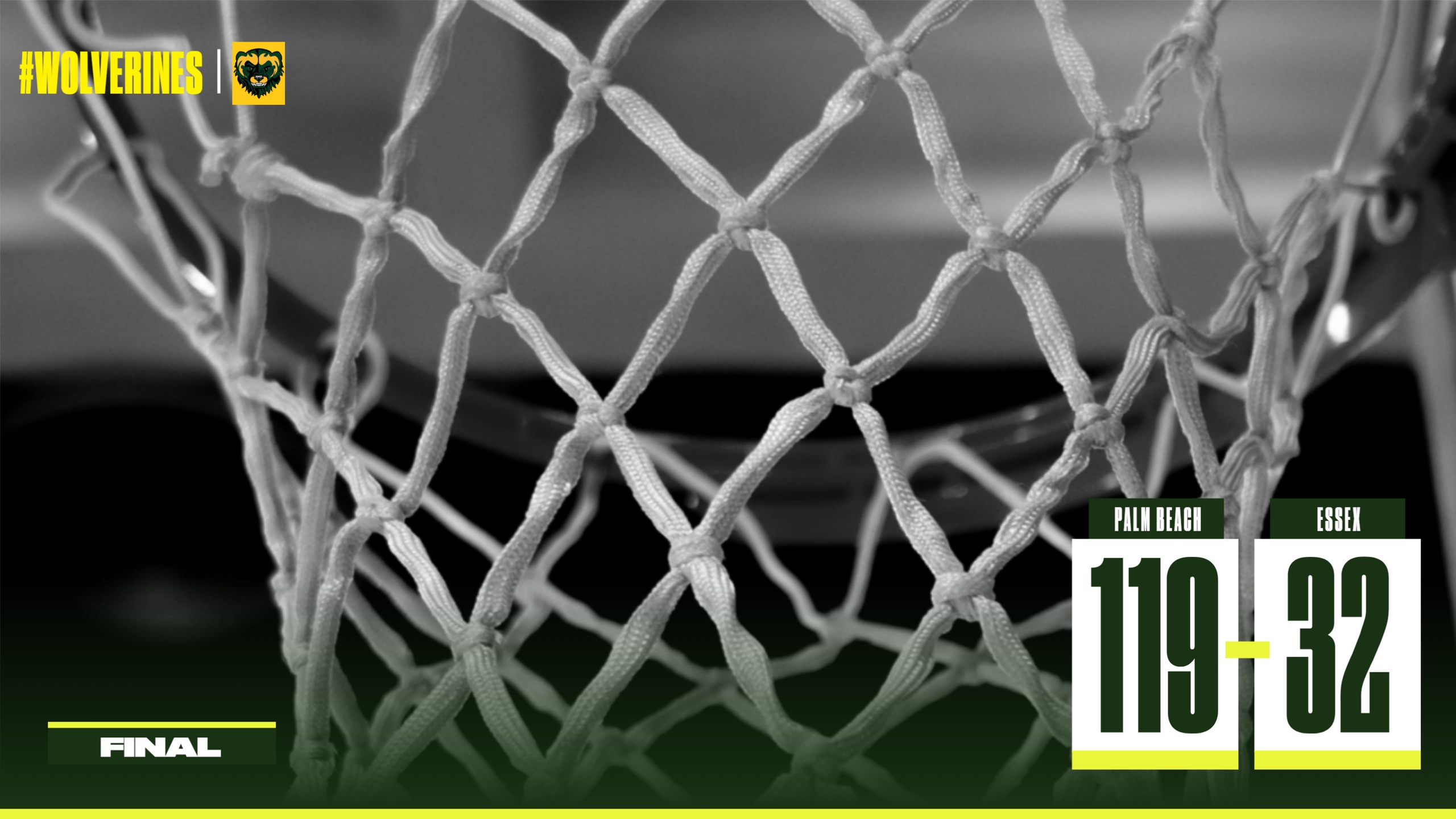 Lady Wolverines struggles continue