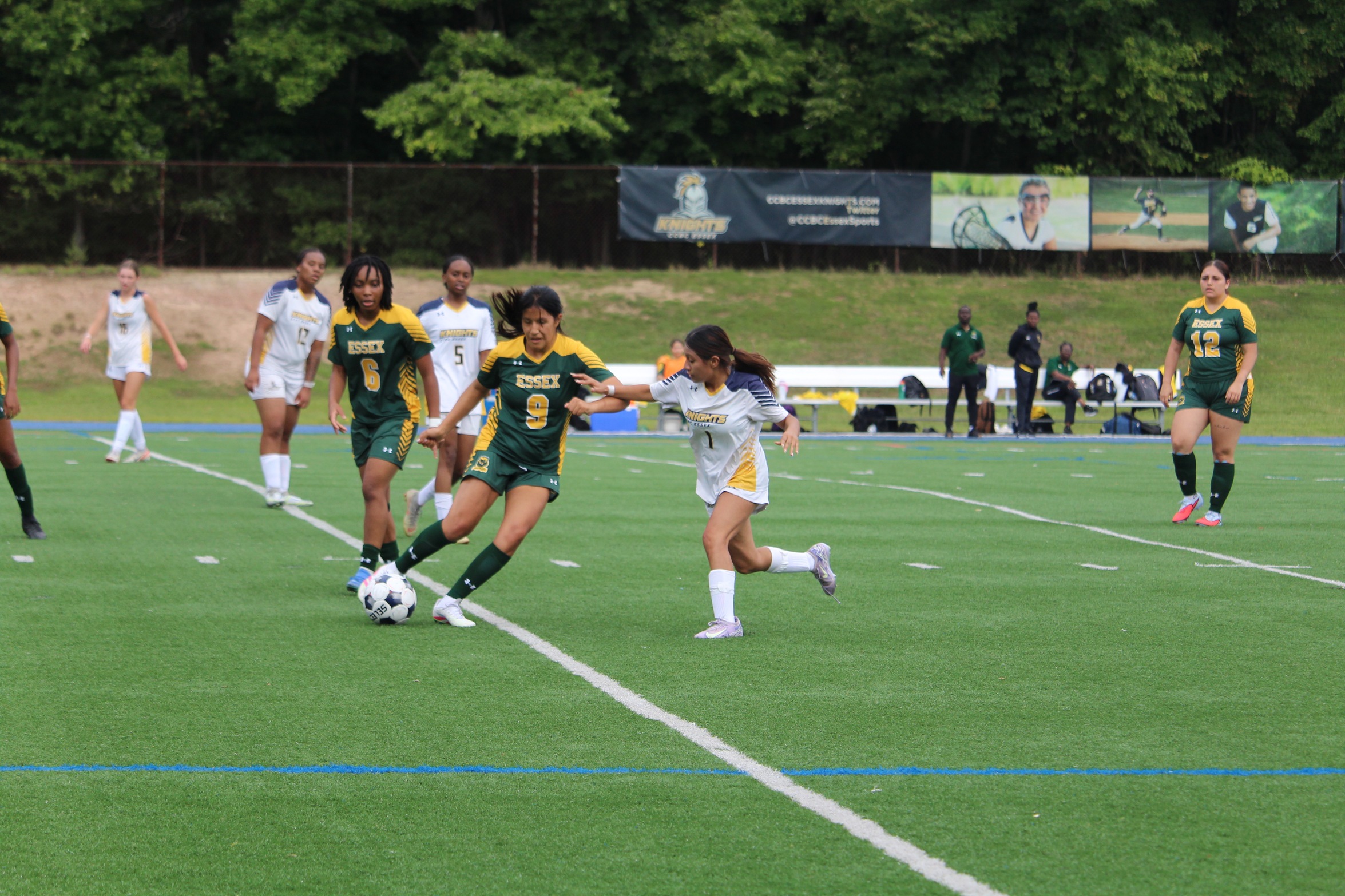 Wolverines Fall to CCBC Essex